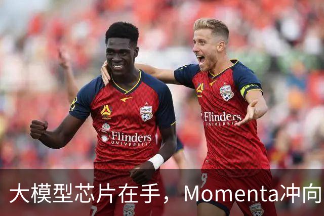 大模型芯片在手，Momenta冲向L4引爆点