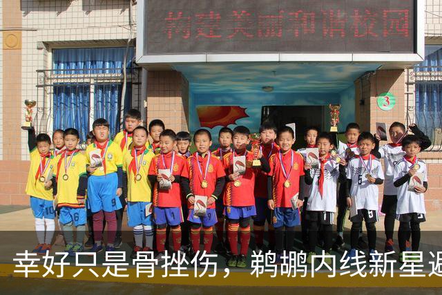 幸好只是骨挫伤，鹈鹕内线新星避免了重大伤病的发生？