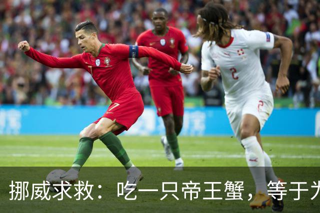 挪威求救：吃一只帝王蟹，等于为地球减负！泛滥成灾还那么贵？