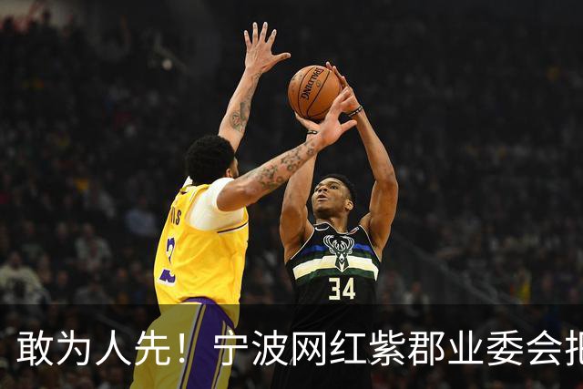 敢为人先！宁波网红紫郡业委会把长期欠物业费业主给强制执行了！