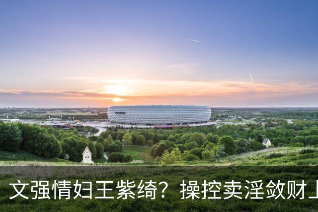 文强情妇王紫绮？操控卖淫敛财上亿，横行15年仅靠万九保护费