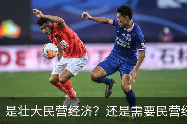 是壮大民营经济？还是需要民营经济？