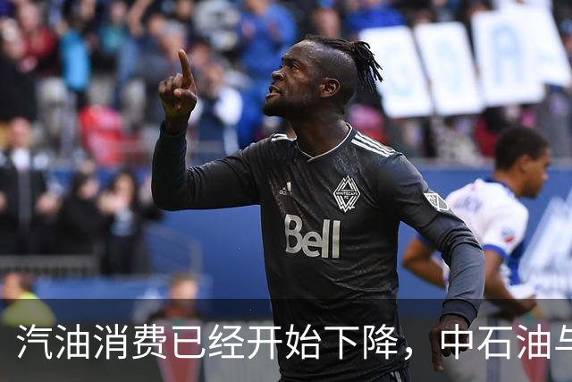 汽油消费已经开始下降，中石油与中石化为何还要大举扩建加油站？