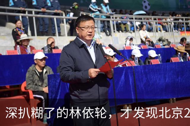 深扒糊了的林依轮，才发现北京2栋楼、1.8亿一幅画，只是冰山一角