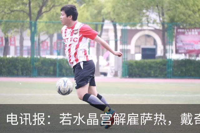 电讯报：若水晶宫解雇萨热，戴奇是接任热门人选