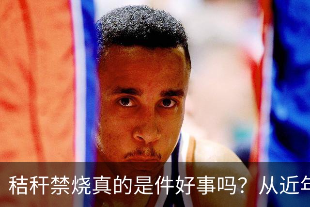 秸秆禁烧真的是件好事吗？从近年蚯蚓鸟类和蛇类数量就能看出来