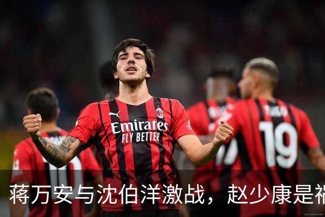 蒋万安与沈伯洋激战，赵少康是祸首，却嫁祸郑丽文？邱毅说公道话