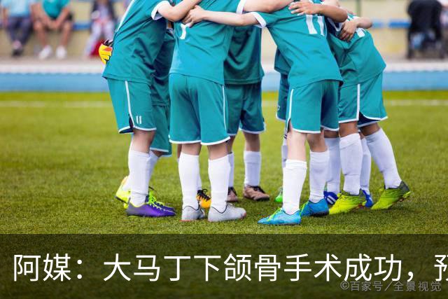 阿媒：大马丁下颌骨手术成功，预计将休战一个半月