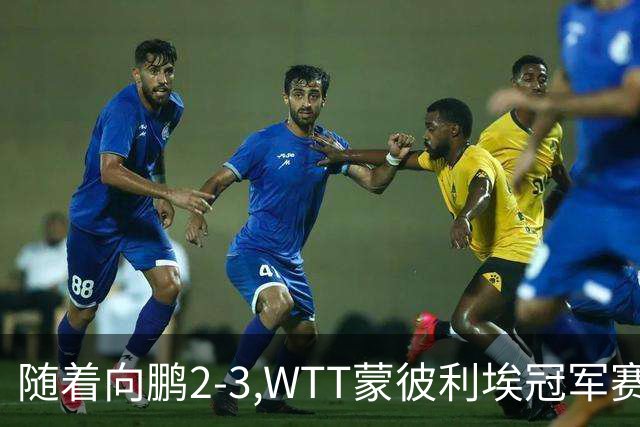 随着向鹏2-3,WTT蒙彼利埃冠军赛男单16强已出15席：仅3名国乒选手