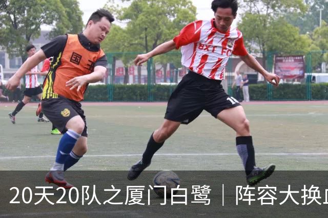 20天20队之厦门白鹭｜阵容大换血！全新00后青年军出征新赛季