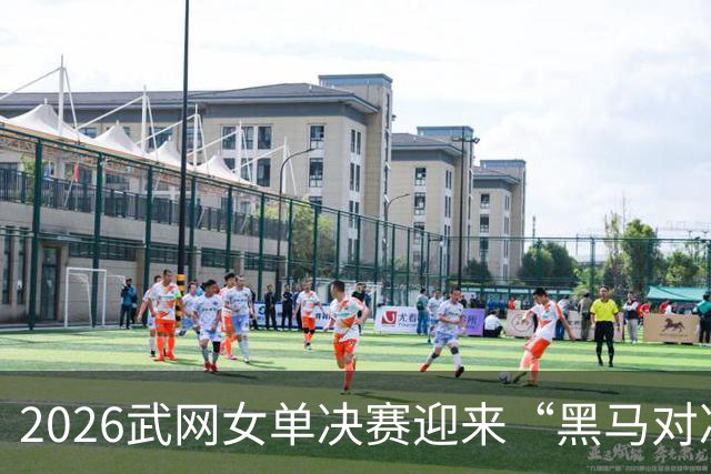 2026武网女单决赛迎来“黑马对决”，斯瓦泰克波兰德比落败，赫瓦林斯卡将与卡塔尔争冠