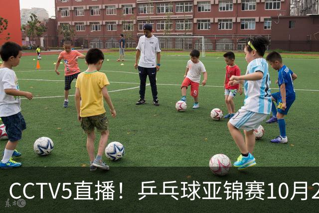 CCTV5直播！乒乓球亚锦赛10月25日赛程：温瑞博战张本智和，蒯曼战张本美和，国乒冲4冠